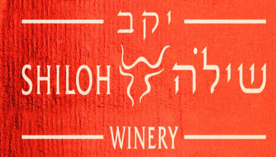 יקב שילה