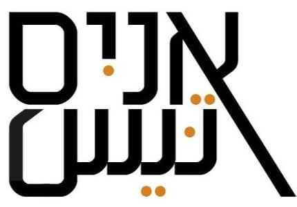 מרכז אניס