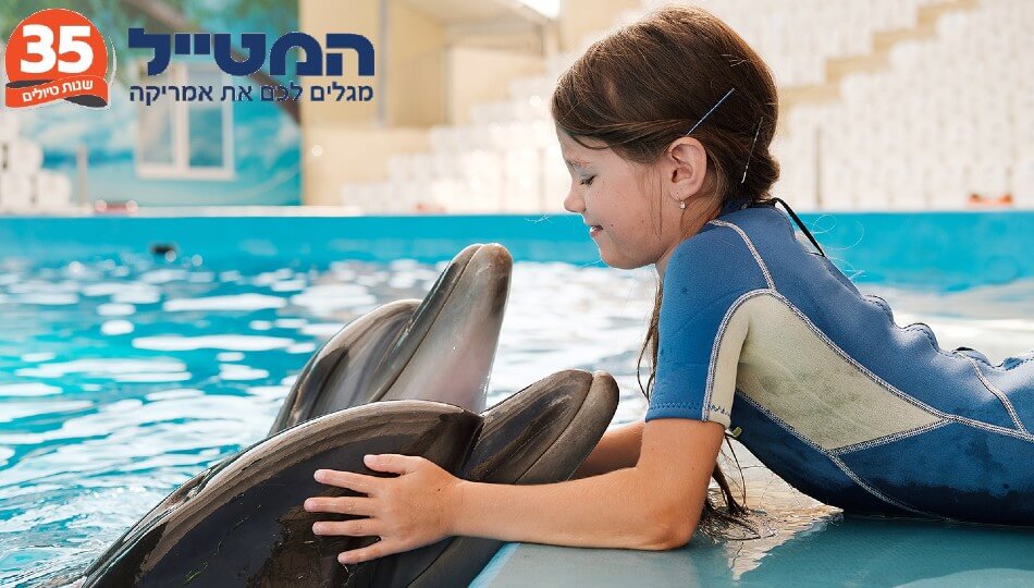 המטייל - אמריקה