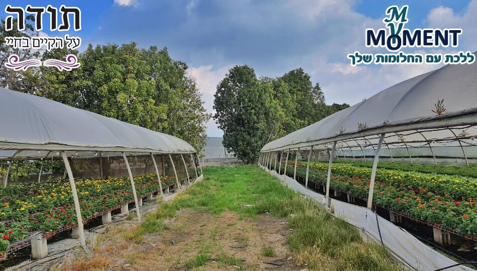 סדנה מיוחדת עם גינת רוגל