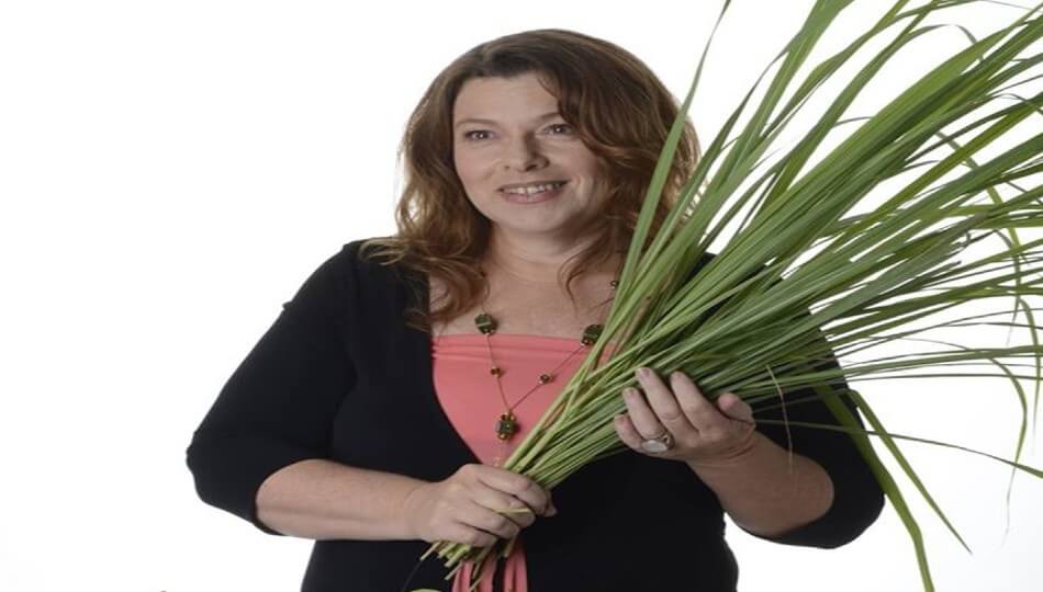 חבקין צמחי מרפא