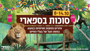 כרטיס לספארי
