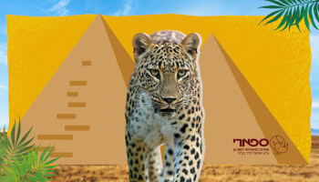 כרטיס כניסה לספארי