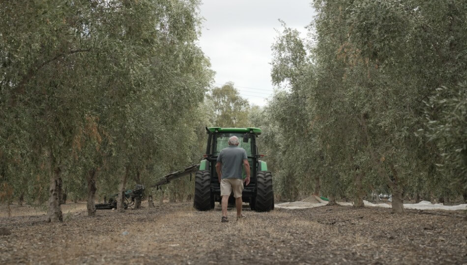 כרם אחינועם