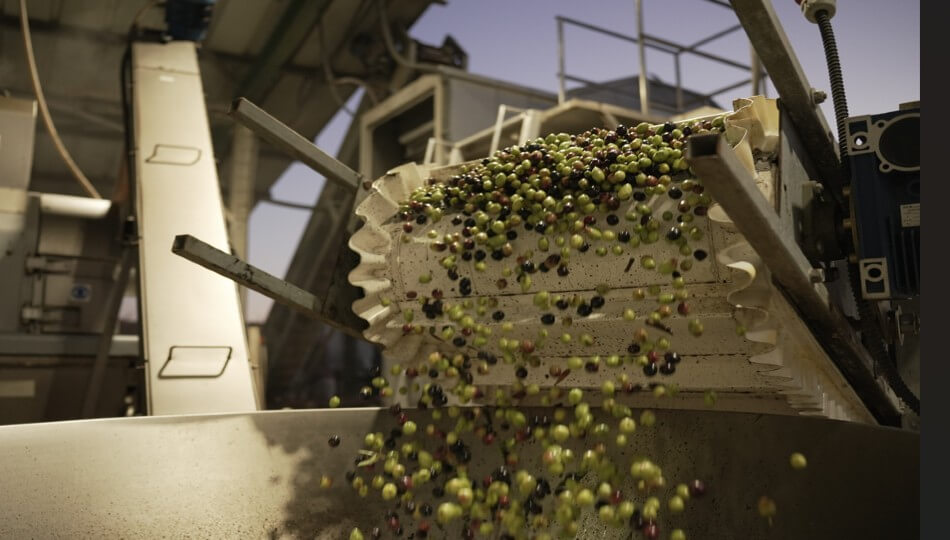 כרם אחינועם