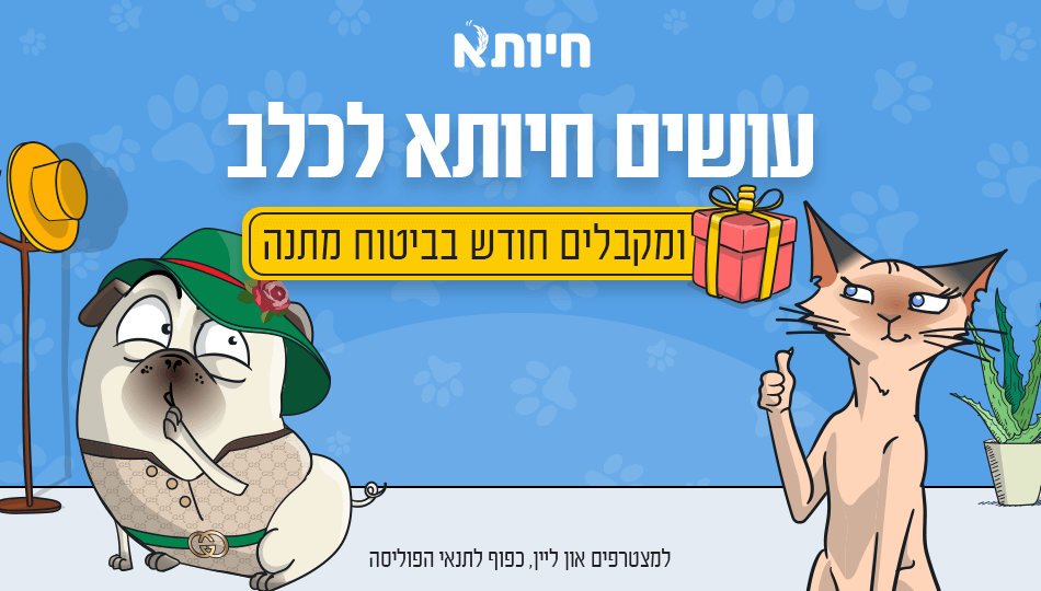 חיותא