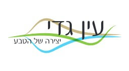 מלון עין גדי