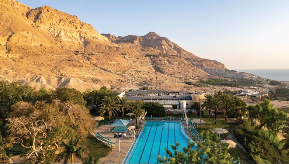 מלון עין גדי