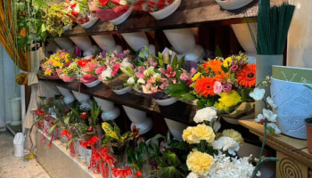 ירוק בעיניים