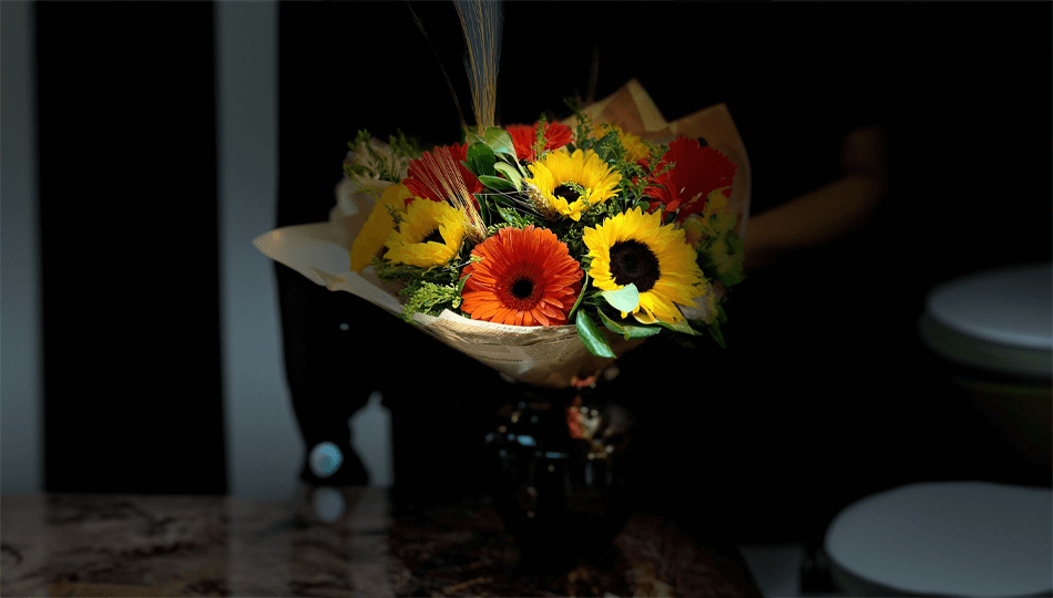 ירוק בעיניים