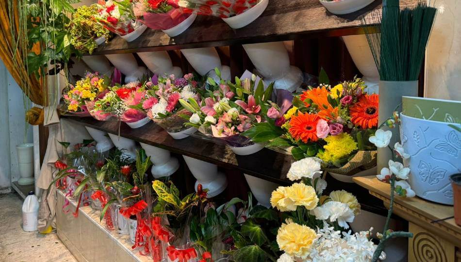 ירוק בעיניים