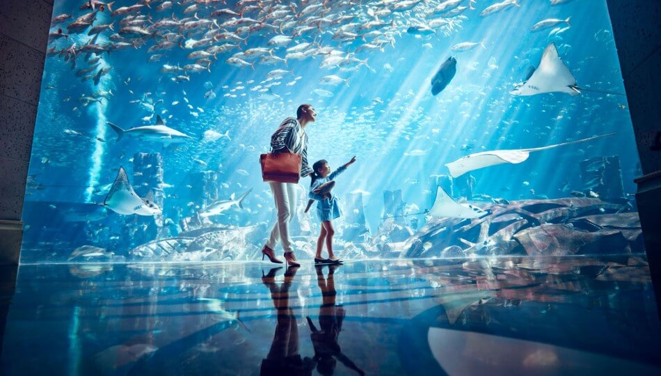 PEGASUS - איחוד האמירויות