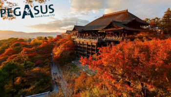 טיול מאורגן ליפן - PEGASUS