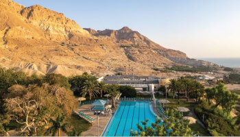 מלון עין גדי