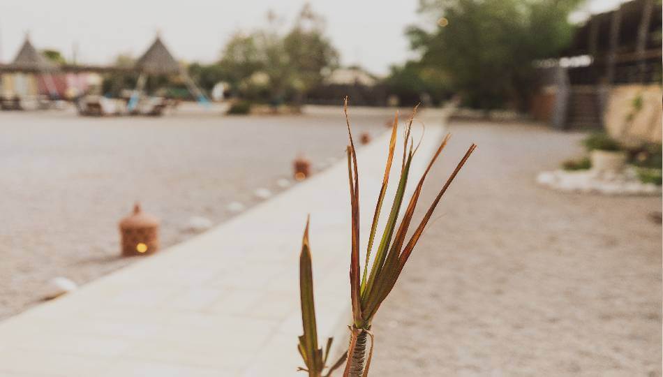 מלון ג'ייקוב מצפה רמון