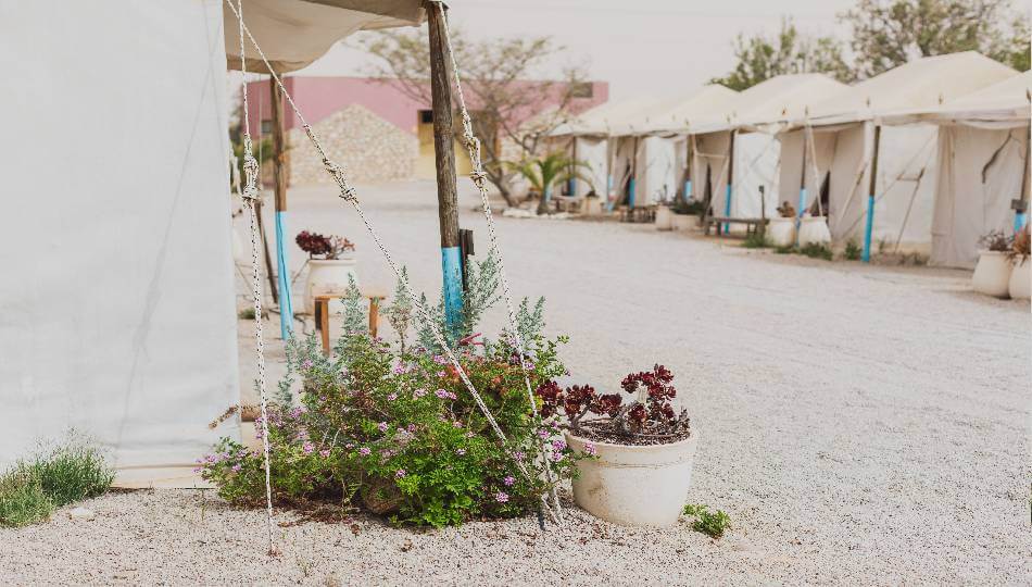 מלון ג'ייקוב מצפה רמון