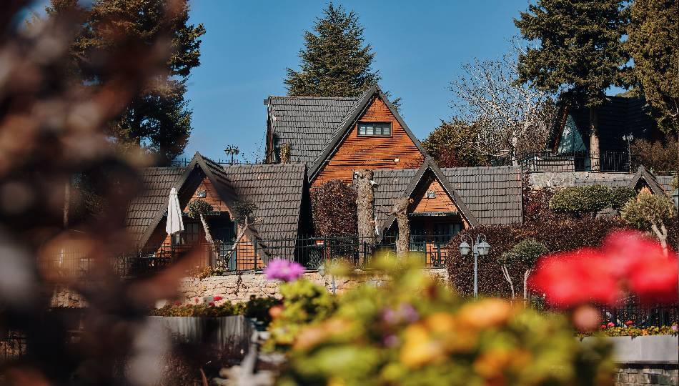 מלון ג'ייקוב נווה אטי