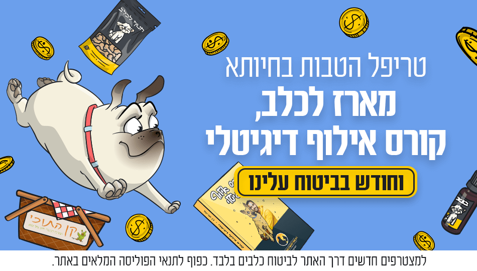 חיותא