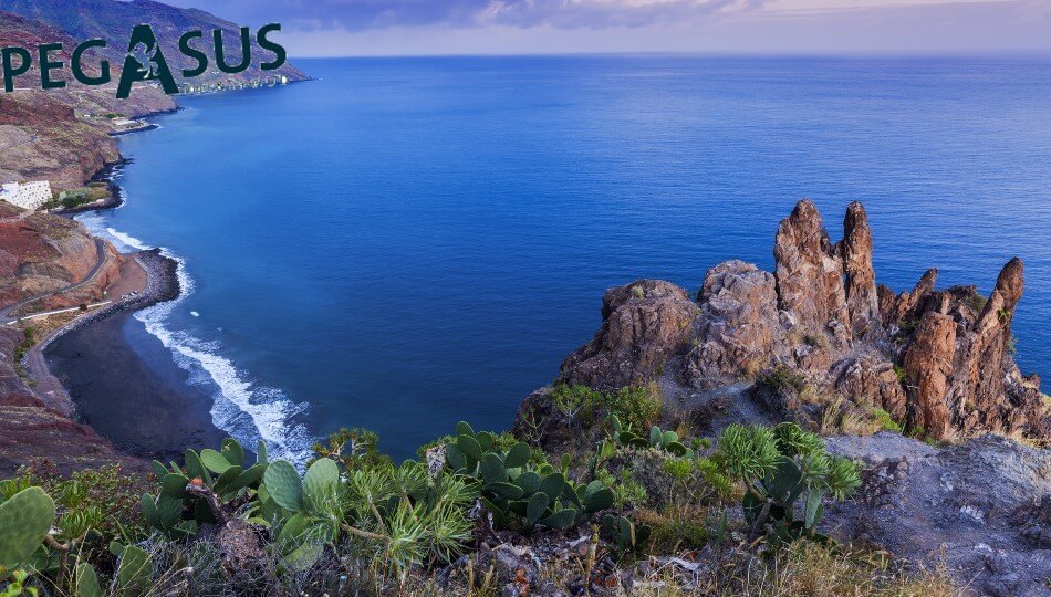 PEGASUS - טיול מאורגן לטנריף