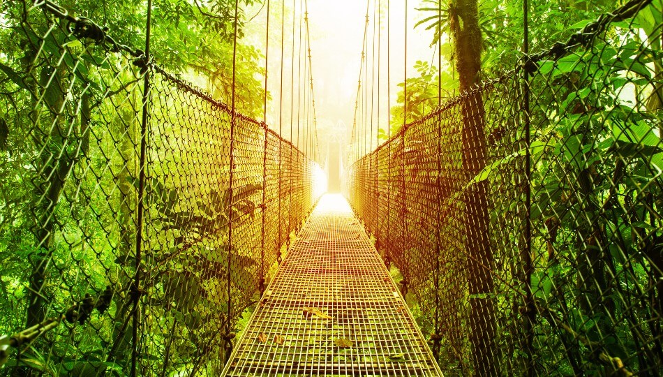 PEGASUS - קובה, קוסטה ריקה ופנמה