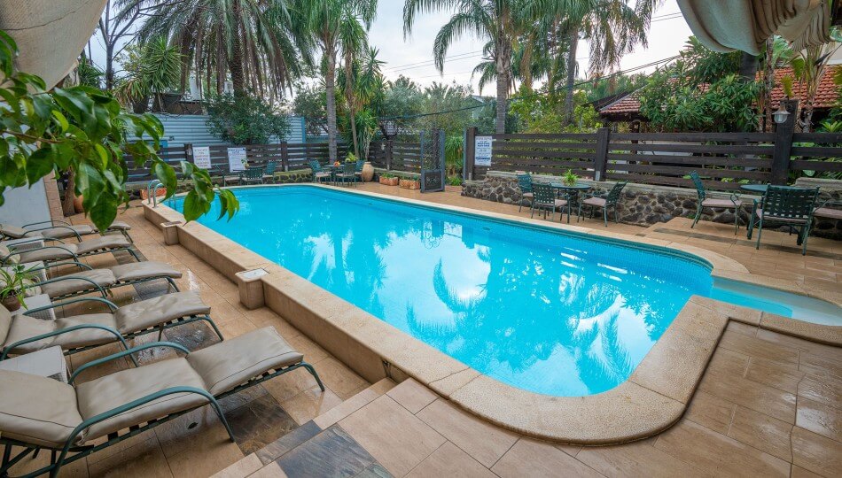 רשת כינורות