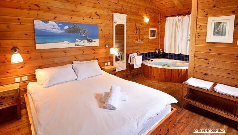 רשת כינורות