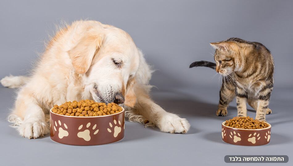 מרכז וטרינרי - Vet Yam