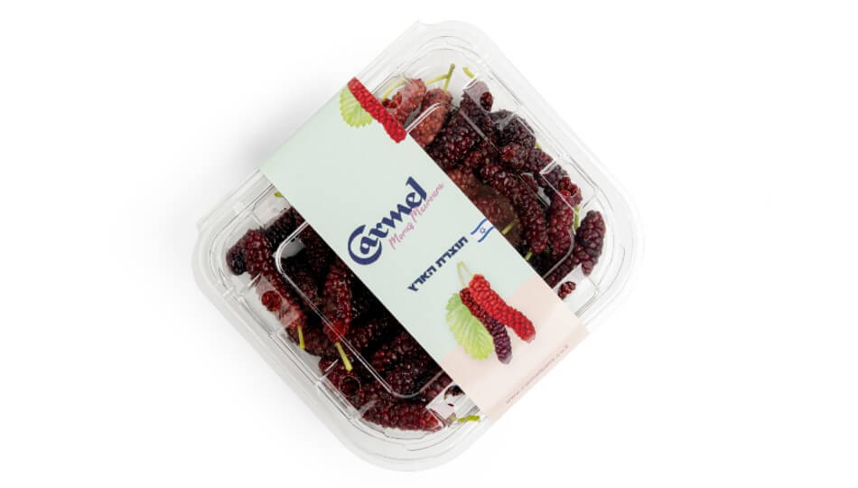 אוכמניות כרמל