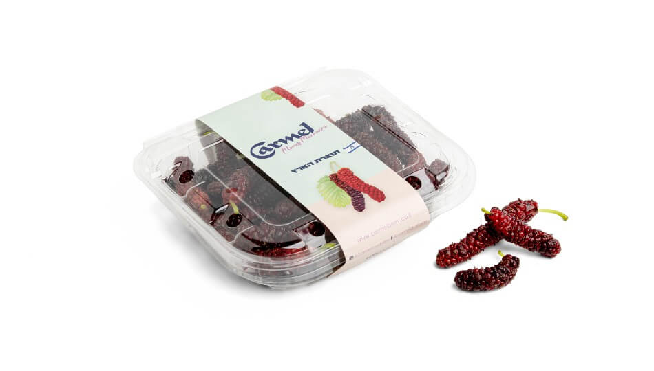 אוכמניות כרמל