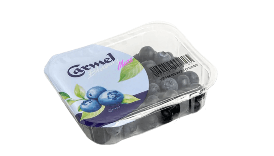 אוכמניות כרמל