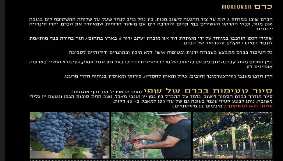 רכישת יינות מכרם מונפוריה