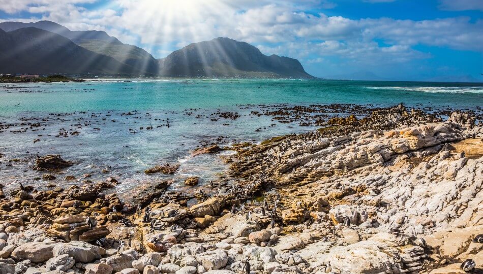 PEGASUS - ספארי בדרום אפריקה