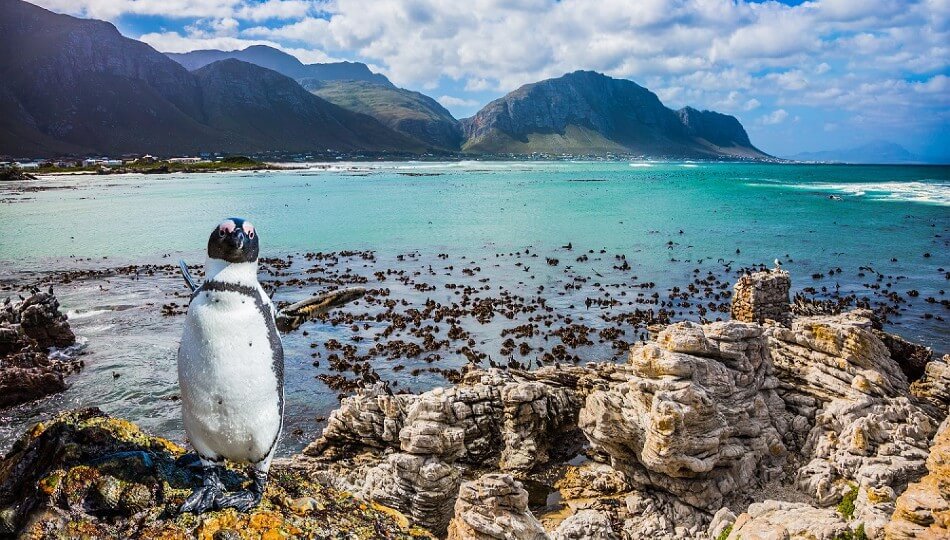 PEGASUS - ספארי בדרום אפריקה