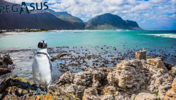 PEGASUS - ספארי בדרום אפריקה