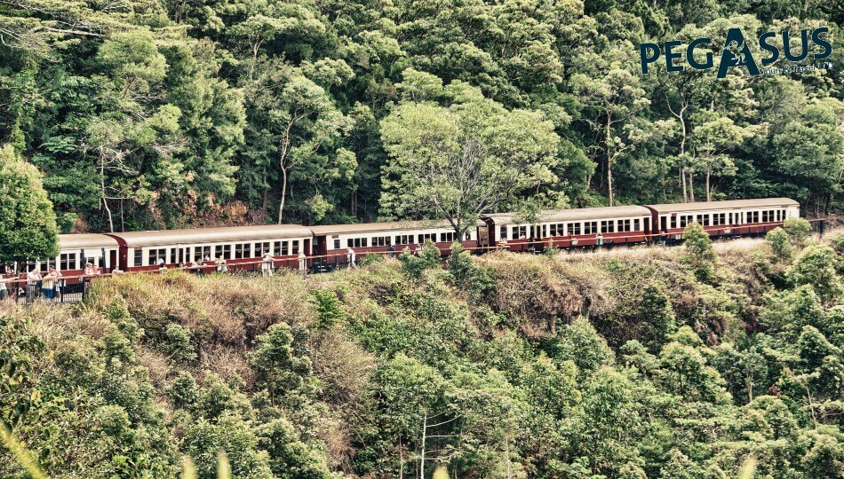 PEGASUS - טיול מאורגן לניו זילנד ואוסטרליה