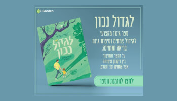 הספר "לגדול נכון"