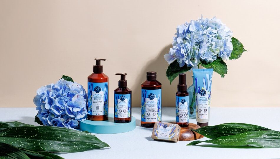 שובר איב רושה