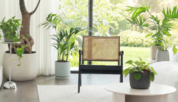 18% הנחה ב-Plant it