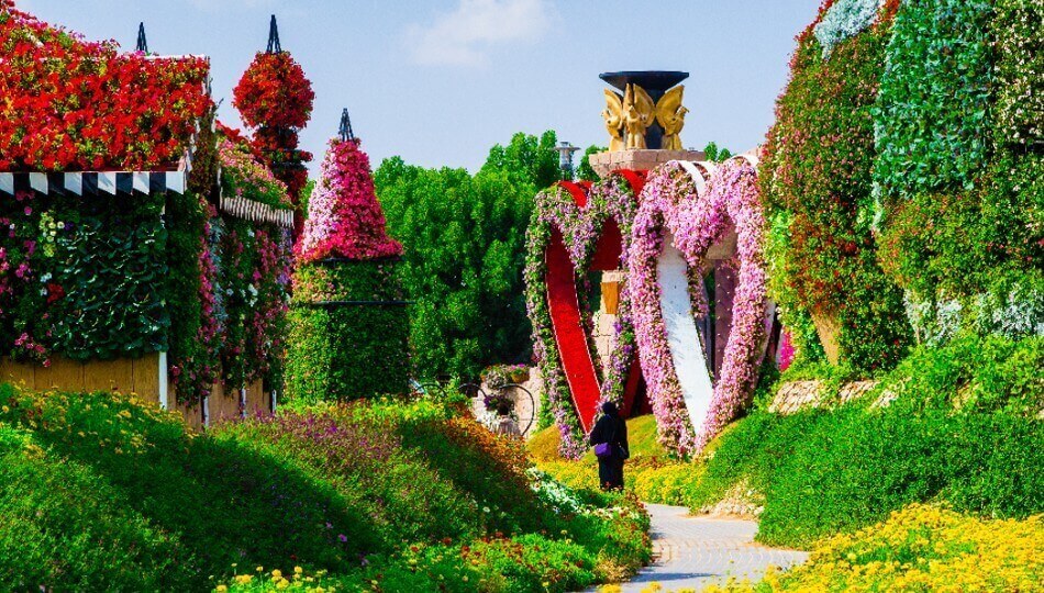 PEGASUS - איחוד האמירויות מקיף