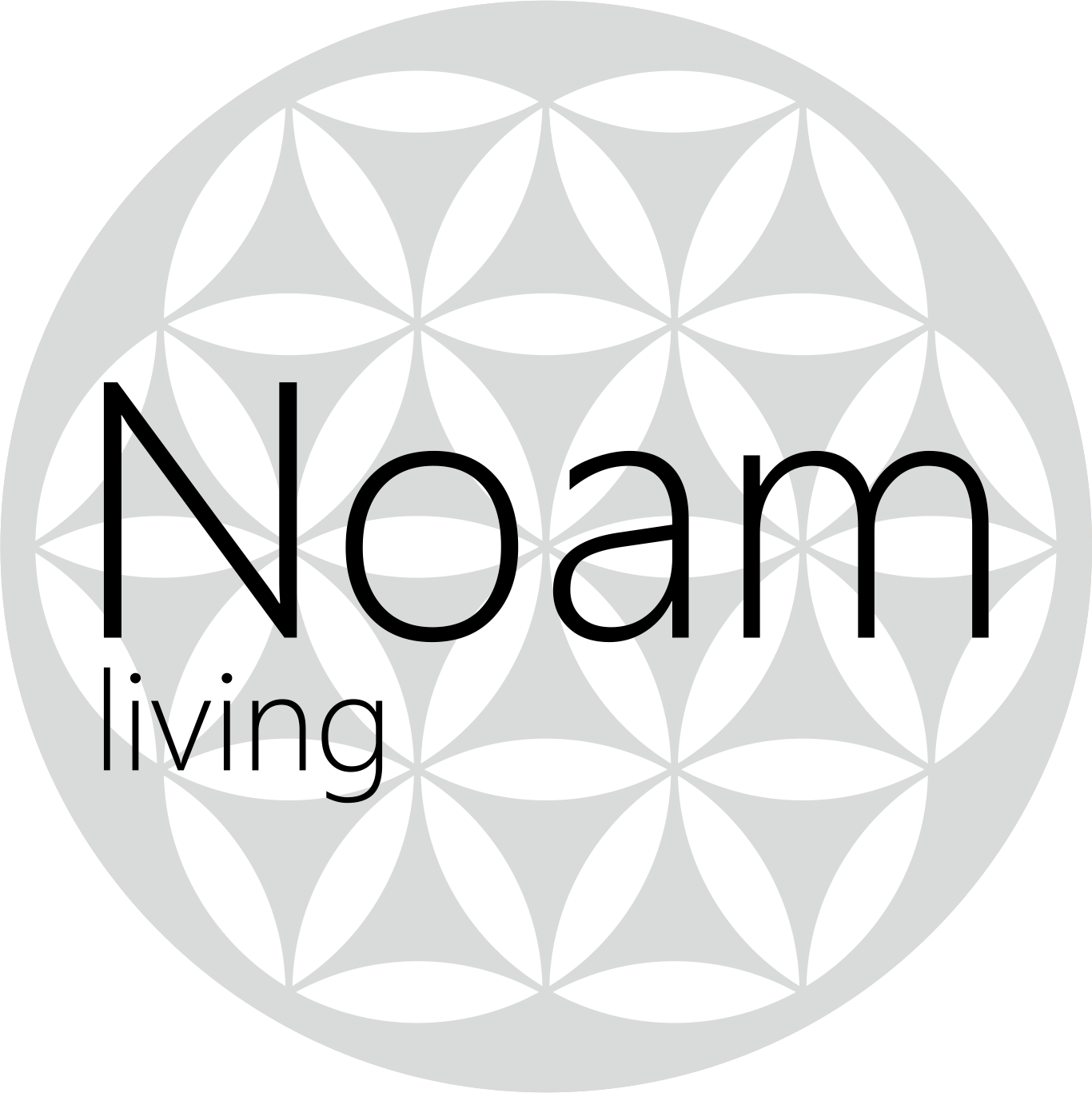 נועם ליבינג -ליטל אשכנזי