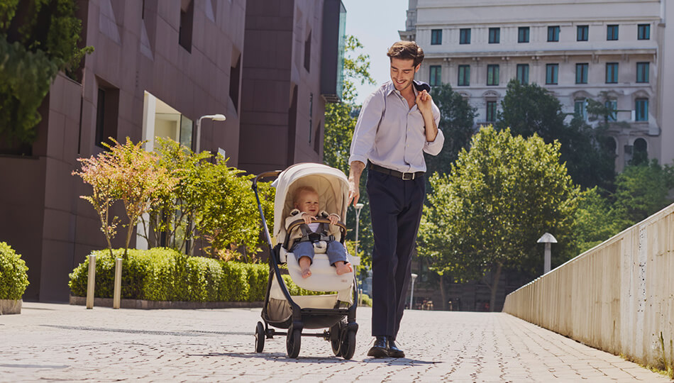 שובר לרשת עגליס