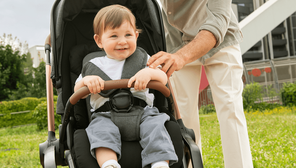 שובר לרשת עגליס