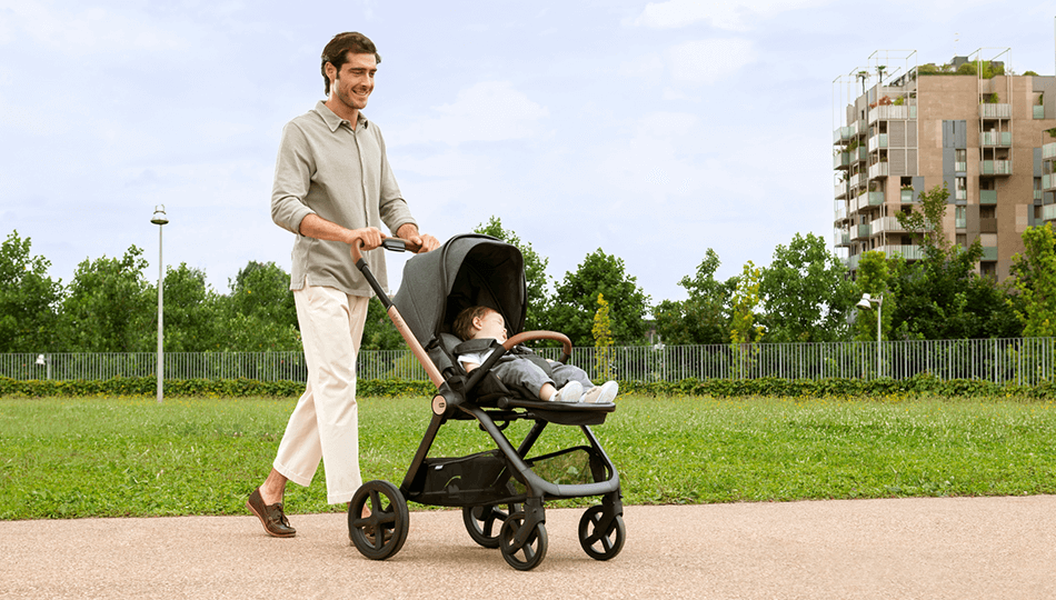 שובר לרשת עגליס