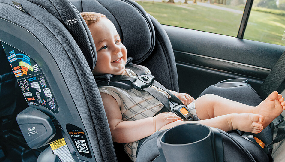 שובר לרשת עגליס