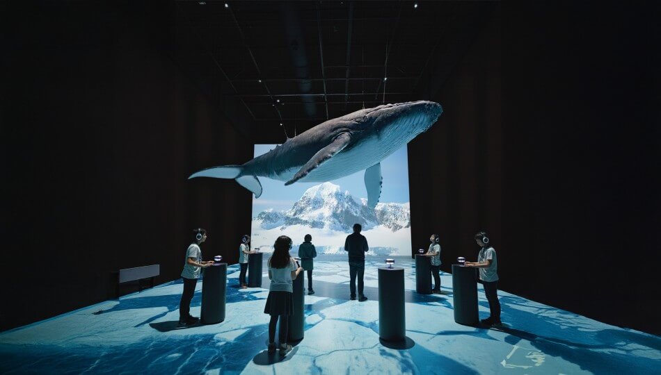 המסע לאנטרקטיקה