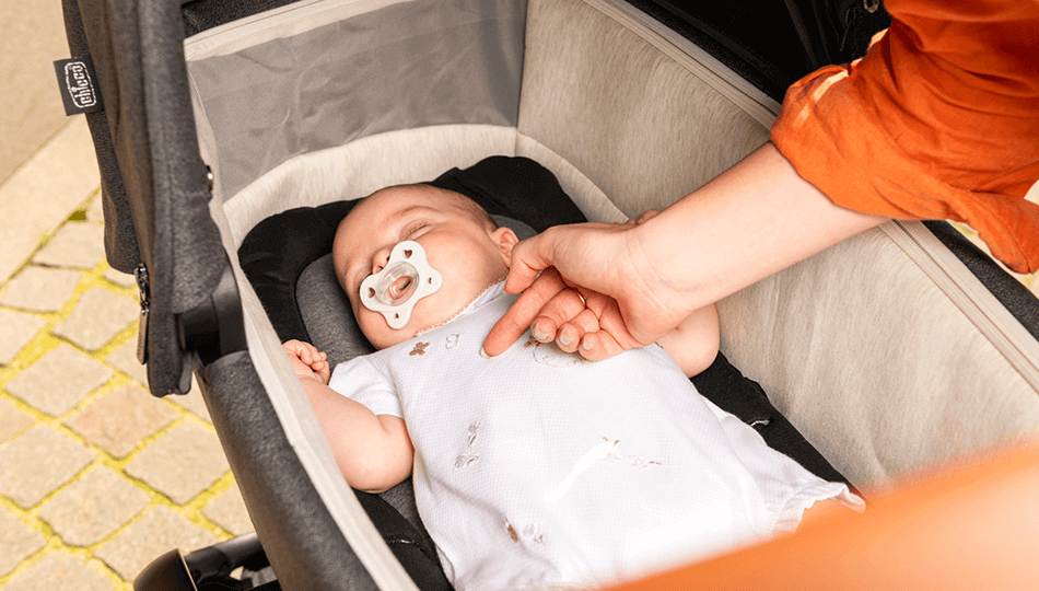 שובר לרשת עגליס