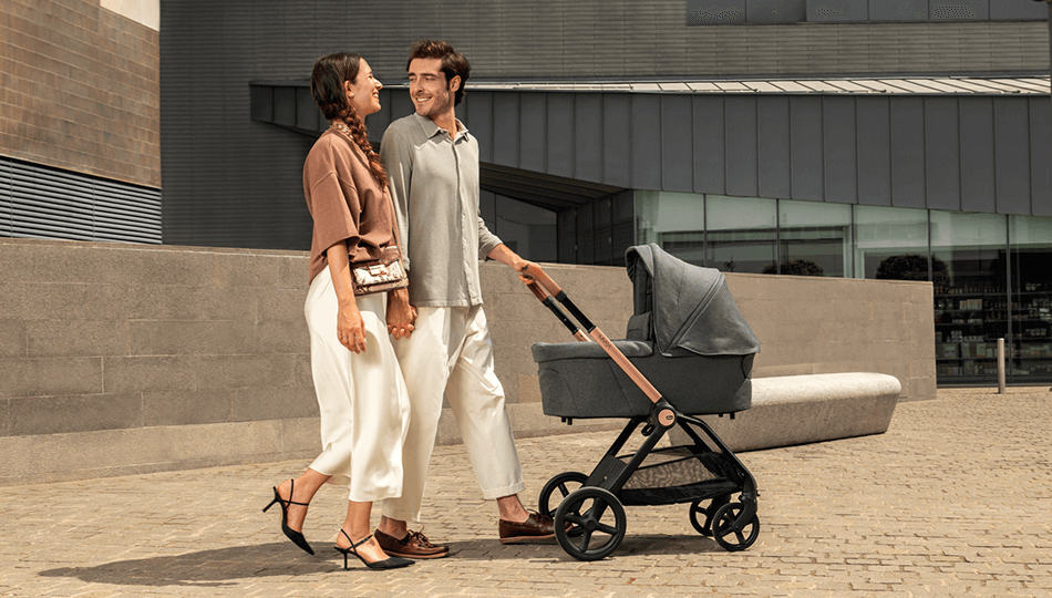 שובר לרשת עגליס