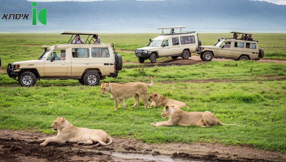 טיול מאורגן למשפחות בסאפרי באפריקה