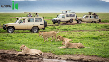 טיול מאורגן למשפחות בסאפרי באפריקה