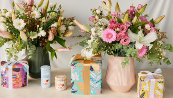 שובר לרשת ZER4U